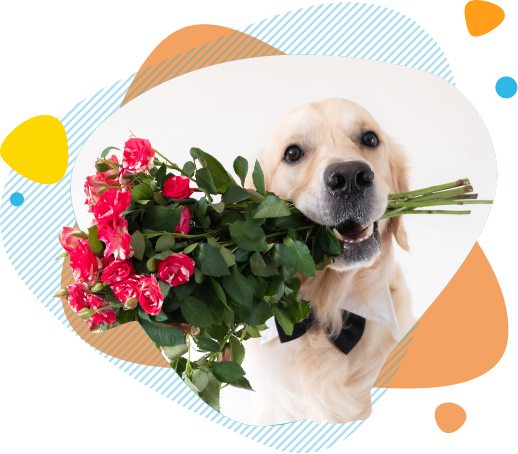 dog with roses